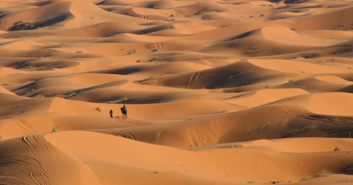 Tour da Fes a Marrakech :Tour Marocco Deserto e Kasbah