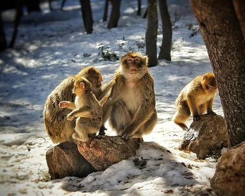 Itinerario Marocco 5 Giorni Da Fes a Merzouga