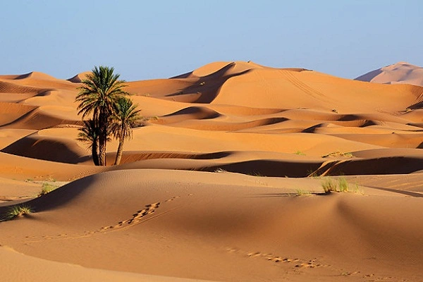 Come Contrattare un Tour in Marocco dall'Italia