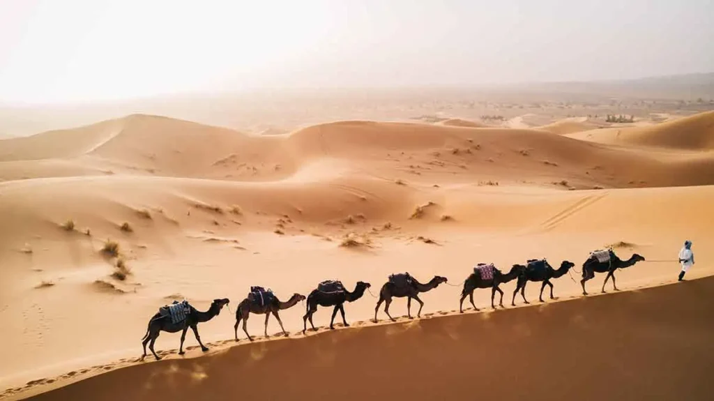 tour 3 giorni da fes al deserto di merzouga