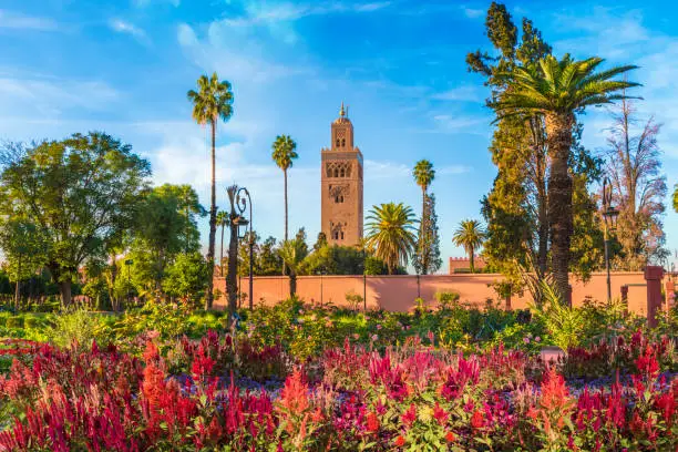 Tour 6 Giorni Marocco Da Marrakech